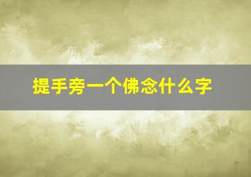 提手旁一个佛念什么字