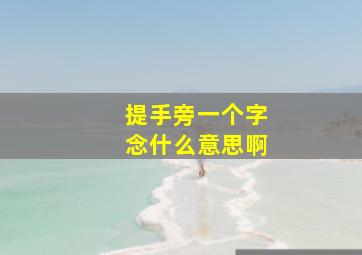 提手旁一个字念什么意思啊