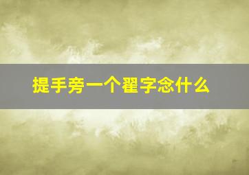 提手旁一个翟字念什么