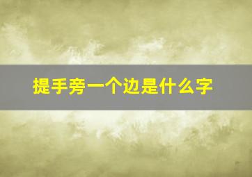 提手旁一个边是什么字