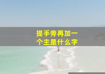 提手旁再加一个主是什么字