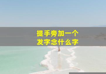 提手旁加一个发字念什么字