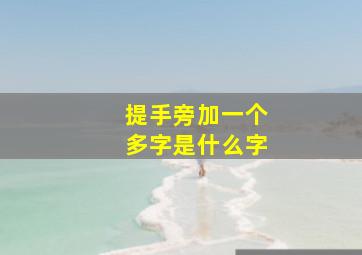 提手旁加一个多字是什么字