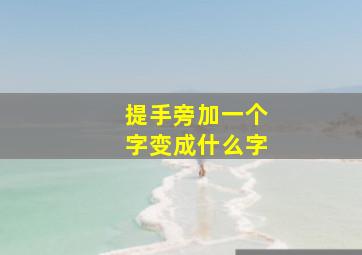 提手旁加一个字变成什么字