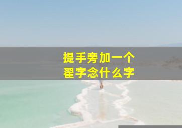 提手旁加一个翟字念什么字