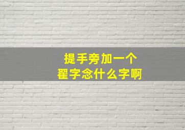 提手旁加一个翟字念什么字啊