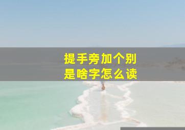 提手旁加个别是啥字怎么读