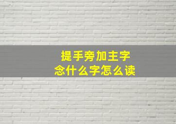 提手旁加主字念什么字怎么读