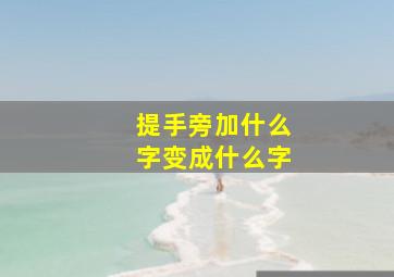 提手旁加什么字变成什么字