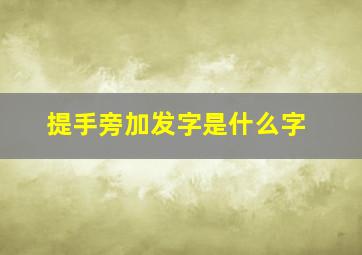 提手旁加发字是什么字