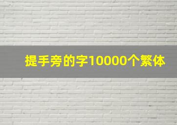 提手旁的字10000个繁体