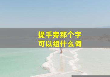 提手旁那个字可以组什么词