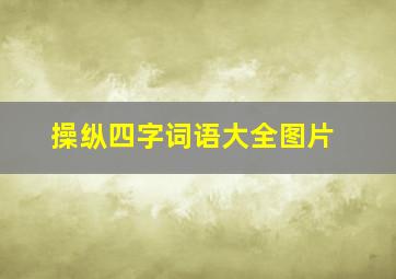 操纵四字词语大全图片