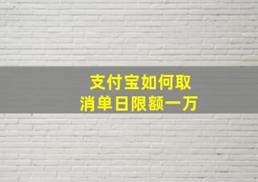 支付宝如何取消单日限额一万