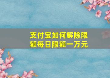 支付宝如何解除限额每日限额一万元