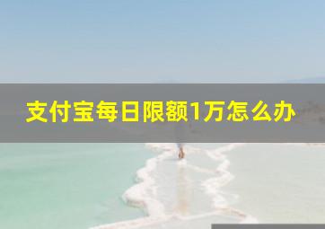 支付宝每日限额1万怎么办