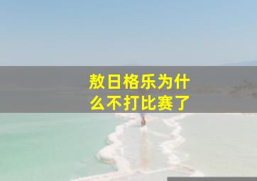 敖日格乐为什么不打比赛了