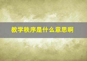 教学秩序是什么意思啊