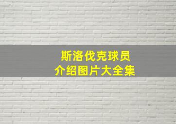 斯洛伐克球员介绍图片大全集