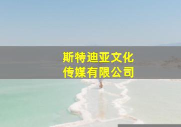 斯特迪亚文化传媒有限公司