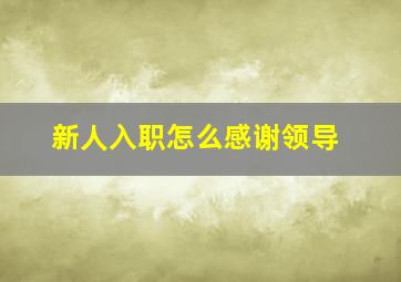 新人入职怎么感谢领导