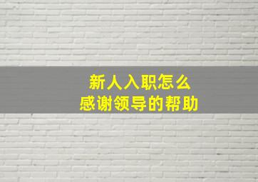 新人入职怎么感谢领导的帮助