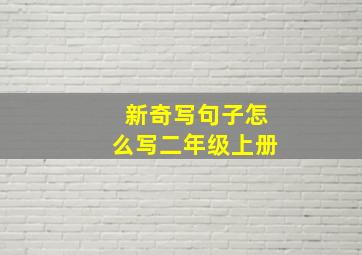 新奇写句子怎么写二年级上册