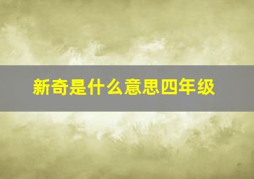 新奇是什么意思四年级