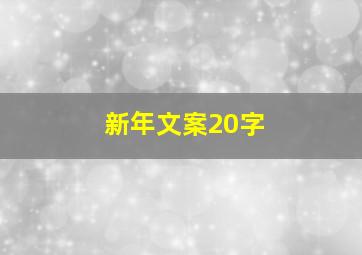 新年文案20字