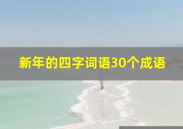 新年的四字词语30个成语