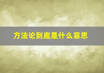 方法论到底是什么意思