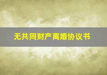 无共同财产离婚协议书