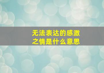 无法表达的感激之情是什么意思