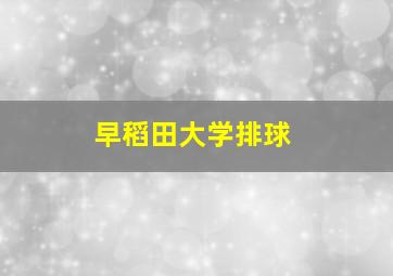 早稻田大学排球