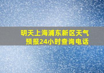 明天上海浦东新区天气预报24小时查询电话