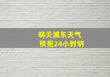 明天浦东天气预报24小时明