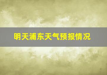 明天浦东天气预报情况