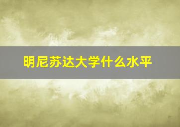 明尼苏达大学什么水平