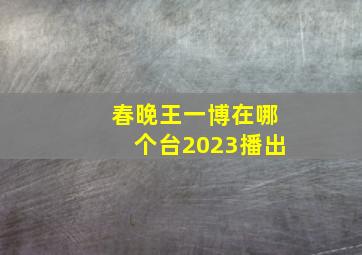 春晚王一博在哪个台2023播出