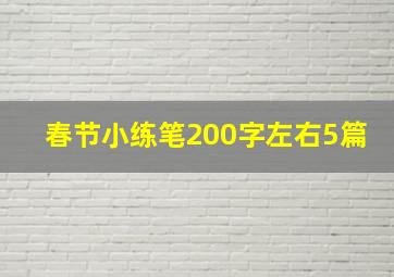 春节小练笔200字左右5篇