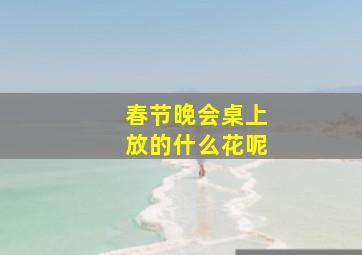 春节晚会桌上放的什么花呢