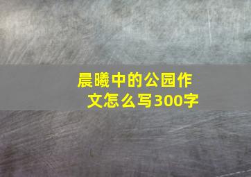 晨曦中的公园作文怎么写300字