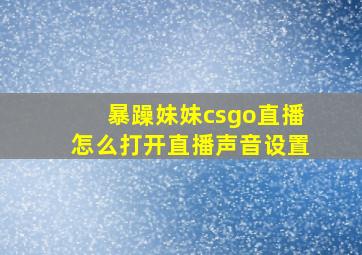 暴躁妹妹csgo直播怎么打开直播声音设置