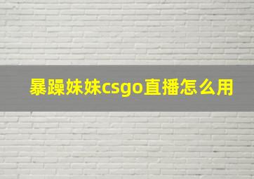 暴躁妹妹csgo直播怎么用