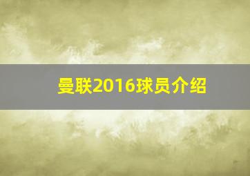 曼联2016球员介绍