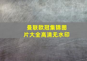 曼联欧冠集锦图片大全高清无水印