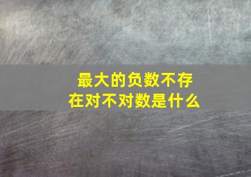 最大的负数不存在对不对数是什么