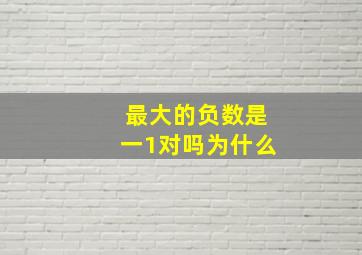 最大的负数是一1对吗为什么