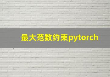 最大范数约束pytorch