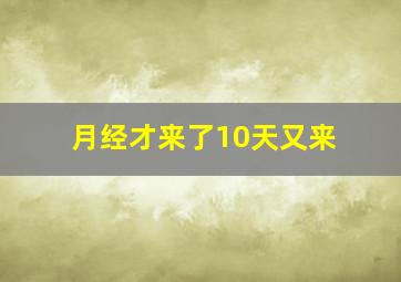 月经才来了10天又来